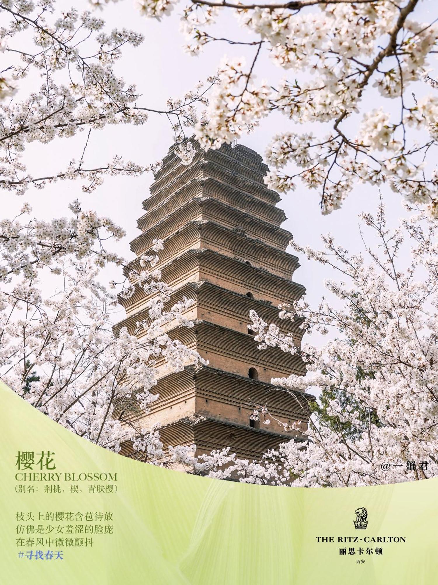 The Ritz-Carlton, Xi'An Ξενοδοχείο Σιάν Εξωτερικό φωτογραφία